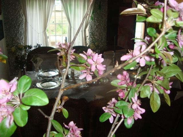 44 On Ennis Guest Lodge And Restaurant - No Load Sheddding Ermelo Exteriér fotografie